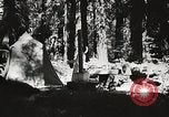 Standbild Prairie Creek Redwood Staaten Park California United States USA, 1935, aus Sekunde 24 historischem Filmmaterial Videoclip 65675066953