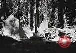 Standbild Prairie Creek Redwood Staaten Park California United States USA, 1935, aus Sekunde 25 historischem Filmmaterial Videoclip 65675066953