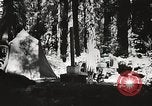 Standbild Prairie Creek Redwood Staaten Park California United States USA, 1935, aus Sekunde 26 historischem Filmmaterial Videoclip 65675066953