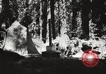 Standbild Prairie Creek Redwood Staaten Park California United States USA, 1935, aus Sekunde 27 historischem Filmmaterial Videoclip 65675066953
