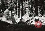 Standbild Prairie Creek Redwood Staaten Park California United States USA, 1935, aus Sekunde 30 historischem Filmmaterial Videoclip 65675066953