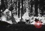 Standbild Prairie Creek Redwood Staaten Park California United States USA, 1935, aus Sekunde 31 historischem Filmmaterial Videoclip 65675066953
