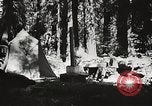 Standbild Prairie Creek Redwood Staaten Park California United States USA, 1935, aus Sekunde 32 historischem Filmmaterial Videoclip 65675066953