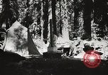 Standbild Prairie Creek Redwood Staaten Park California United States USA, 1935, aus Sekunde 33 historischem Filmmaterial Videoclip 65675066953