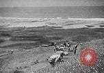 Standbild Prairie Creek Redwood Staaten Park California United States USA, 1935, aus Sekunde 38 historischem Filmmaterial Videoclip 65675066953