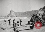 Standbild Prairie Creek Redwood Staaten Park California United States USA, 1935, aus Sekunde 44 historischem Filmmaterial Videoclip 65675066953