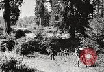 Standbild Prairie Creek Redwood Staaten Park California United States USA, 1935, aus Sekunde 48 historischem Filmmaterial Videoclip 65675066953