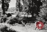 Standbild Prairie Creek Redwood Staaten Park California United States USA, 1935, aus Sekunde 49 historischem Filmmaterial Videoclip 65675066953