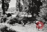 Standbild Prairie Creek Redwood Staaten Park California United States USA, 1935, aus Sekunde 54 historischem Filmmaterial Videoclip 65675066953
