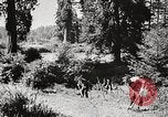 Standbild Prairie Creek Redwood Staaten Park California United States USA, 1935, aus Sekunde 57 historischem Filmmaterial Videoclip 65675066953