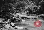 Standbild Pfeiffer Big Sur State Park California United States USA, 1935, aus Sekunde 36 historischem Filmmaterial Videoclip 65675066954