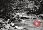 Standbild Pfeiffer Big Sur State Park California United States USA, 1935, aus Sekunde 37 historischem Filmmaterial Videoclip 65675066954