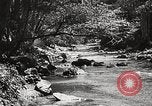 Standbild Pfeiffer Big Sur State Park California United States USA, 1935, aus Sekunde 38 historischem Filmmaterial Videoclip 65675066954