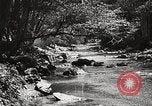 Standbild Pfeiffer Big Sur State Park California United States USA, 1935, aus Sekunde 40 historischem Filmmaterial Videoclip 65675066954