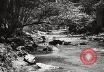 Standbild Pfeiffer Big Sur State Park California United States USA, 1935, aus Sekunde 41 historischem Filmmaterial Videoclip 65675066954