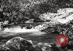 Standbild Pfeiffer Big Sur State Park California United States USA, 1935, aus Sekunde 42 historischem Filmmaterial Videoclip 65675066954