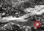 Standbild Pfeiffer Big Sur State Park California United States USA, 1935, aus Sekunde 43 historischem Filmmaterial Videoclip 65675066954