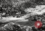 Standbild Pfeiffer Big Sur State Park California United States USA, 1935, aus Sekunde 44 historischem Filmmaterial Videoclip 65675066954