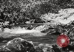 Standbild Pfeiffer Big Sur State Park California United States USA, 1935, aus Sekunde 45 historischem Filmmaterial Videoclip 65675066954