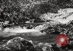 Standbild Pfeiffer Big Sur State Park California United States USA, 1935, aus Sekunde 46 historischem Filmmaterial Videoclip 65675066954