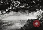 Standbild Pfeiffer Big Sur State Park California United States USA, 1935, aus Sekunde 49 historischem Filmmaterial Videoclip 65675066954