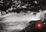 Standbild Pfeiffer Big Sur State Park California United States USA, 1935, aus Sekunde 52 historischem Filmmaterial Videoclip 65675066954