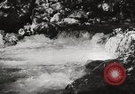 Standbild Pfeiffer Big Sur State Park California United States USA, 1935, aus Sekunde 53 historischem Filmmaterial Videoclip 65675066954