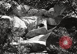 Standbild Cuyamaca Rancho State Park California United States USA, 1935, aus Sekunde 7 historischem Filmmaterial Videoclip 65675066955