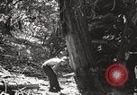 Standbild Cuyamaca Rancho State Park California United States USA, 1935, aus Sekunde 49 historischem Filmmaterial Videoclip 65675066955