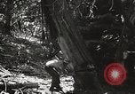 Standbild Cuyamaca Rancho State Park California United States USA, 1935, aus Sekunde 51 historischem Filmmaterial Videoclip 65675066955