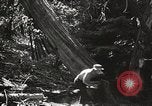 Standbild Cuyamaca Rancho State Park California United States USA, 1935, aus Sekunde 52 historischem Filmmaterial Videoclip 65675066955