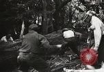 Standbild Cuyamaca Rancho State Park California United States USA, 1935, aus Sekunde 61 historischem Filmmaterial Videoclip 65675066955