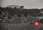 Image of Morro Bay State Park California United States USA, 1935, second 21 stock footage video 65675066956