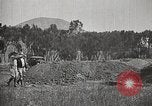 Image of Morro Bay State Park California United States USA, 1935, second 24 stock footage video 65675066956