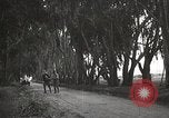 Image of Morro Bay State Park California United States USA, 1935, second 40 stock footage video 65675066956