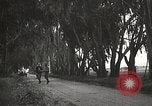 Image of Morro Bay State Park California United States USA, 1935, second 41 stock footage video 65675066956