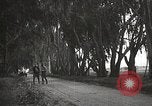 Image of Morro Bay State Park California United States USA, 1935, second 42 stock footage video 65675066956