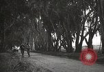 Image of Morro Bay State Park California United States USA, 1935, second 43 stock footage video 65675066956