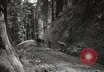 Image Fédération Gulch State Park California United States USA, 1935, de la seconde 43 séquences d'archives historiques vidéo 65675066957