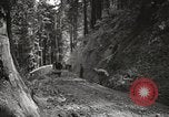 Image Fédération Gulch State Park California United States USA, 1935, de la seconde 46 séquences d'archives historiques vidéo 65675066957