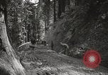 Image Fédération Gulch State Park California United States USA, 1935, de la seconde 47 séquences d'archives historiques vidéo 65675066957