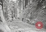 Image Fédération Gulch State Park California United States USA, 1935, de la seconde 50 séquences d'archives historiques vidéo 65675066957