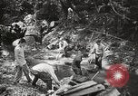 Image Fédération Gulch State Park California United States USA, 1935, de la seconde 54 séquences d'archives historiques vidéo 65675066957