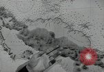 Standbild Vereinigten Staaten Marines Guadalcanal Salomonen, 1942, aus Sekunde 50 historischem Filmmaterial Videoclip 65675066962