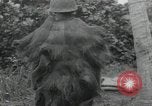 Image of Japanese camp Guadalcanal Solomon Islands, 1942, second 20 stock footage video 65675066963