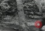 Image of Japanese camp Guadalcanal Solomon Islands, 1942, second 35 stock footage video 65675066963