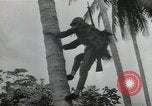 Image of Japanese camp Guadalcanal Solomon Islands, 1942, second 38 stock footage video 65675066963