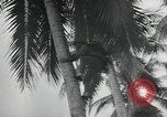 Image of Japanese camp Guadalcanal Solomon Islands, 1942, second 41 stock footage video 65675066963