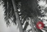 Image of Japanese camp Guadalcanal Solomon Islands, 1942, second 42 stock footage video 65675066963