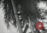 Image of Japanese camp Guadalcanal Solomon Islands, 1942, second 43 stock footage video 65675066963